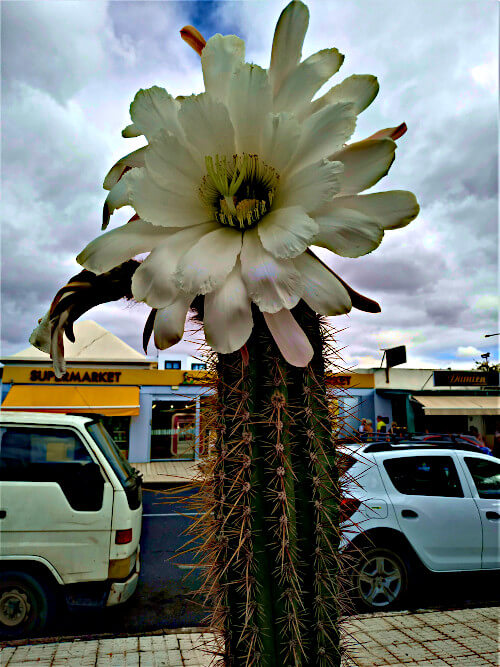 Parcheggio a Lanzarote 2023