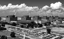 Centrale Nucleare Zaporizhzhya Rischio Disastro Imminente