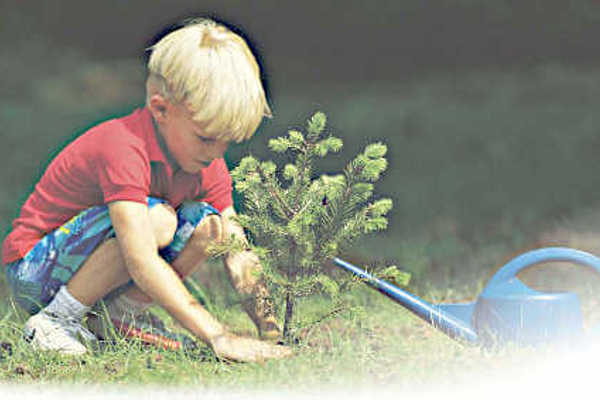 TROPPO TARDI PIANTARE ALBERI PER SALVARE LA TERRA