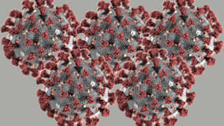 COVIDE DELTA, RITORNA LA PAURA