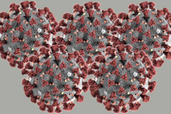 COVIDE DELTA, RITORNA LA PAURA