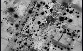 STRAGE DI PALESTINESI AFFAMATI A GAZA UN ALTRO CRIMINE DI ISRAELE