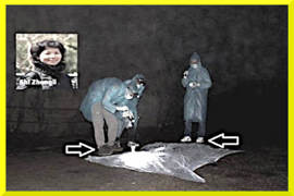 Shi Zhengli è tornata con un altro coronavirus di pipistrello