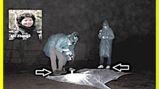 Shi Zhengli è tornata con un altro coronavirus di pipistrello