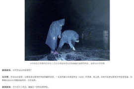 CORONAVIRUS, 3 RICERCATORI DEL WUHAN LAB AMMALATI NEL 2019