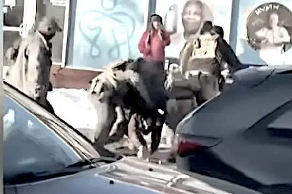 Ucciso Alex Pretti a Minneapolis cuore della Resistenza a Trump