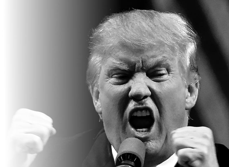 trump donald