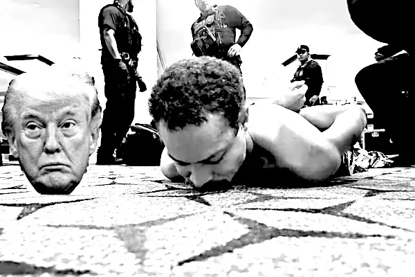 Trump Staged Cole Allen