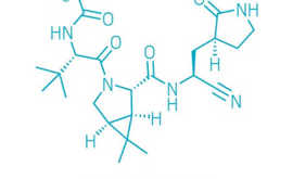 COVID-19, la Pillola Paxlovid Funziona, Guariti 92 su 100