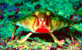 L'Italia e' Destinata al Gruppo B delle Democrazie