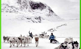 Il popolo della Groenlandia manifesta contro Trump: indesiderato