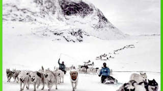 Il popolo della Groenlandia manifesta contro Trump: indesiderato