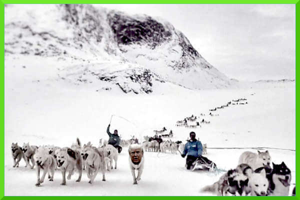 Il popolo della Groenlandia manifesta contro Trump: indesiderato