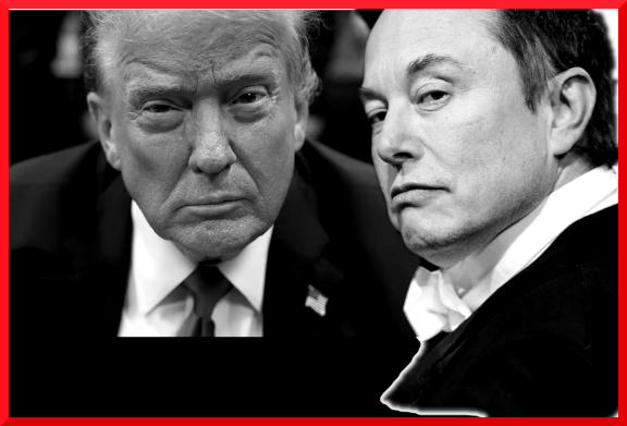 Elon Musk regala dollari a chi vota Trump, li riavrà con gli interessi