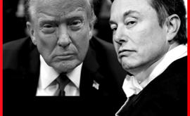 Elon Musk regala dollari a chi vota Trump, li riavrà con gli interessi