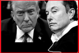 Elon Musk regala dollari a chi vota Trump, li riavrà con gli interessi