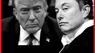 Elon Musk regala dollari a chi vota Trump, li riavrà con gli interessi