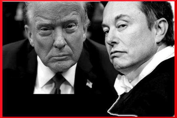 Elon Musk regala dollari a chi vota Trump, li riavrà con gli interessi