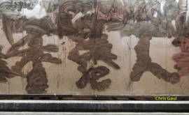 L'Italia Ignorante, Avida, Carica di Pregiudizi