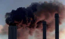 ILVA TARANTO, VENDOLA E LA FINE DELL'ECOLOGISMO DI SINISTRA