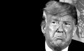 Impeachment Trump Entra in Scena "Quid Pro Quo"