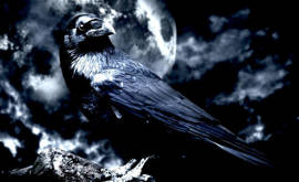 Elezioni Germania, Trump Musk e Putin tutti uniti con AfD contro EU