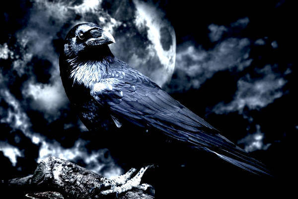 "Odio salvare l'Europa", JD Vance spiega perché difendersi da Trump