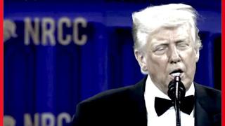 Trump ha detto che Giorgia Meloni andrà a "kissing my as.."