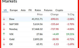L'indice del gradimento di Trump & Musk a Wall Street crolla