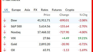 L'indice del gradimento di Trump & Musk a Wall Street crolla