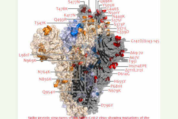 COVID-19 Omicron Allarme Rosso Prepararsi al Peggio