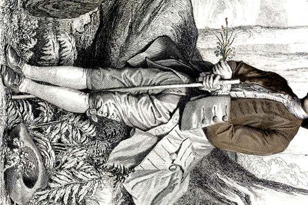 Sul Filo del Rousseau