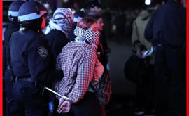 Allie Wong Racconta il Suo Arresto nella Columbia University