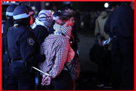 Allie Wong Racconta il Suo Arresto nella Columbia University