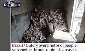 PANDORA PAPERS QUELLI CHE LO OFFSHORE