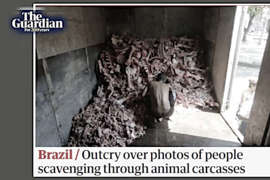 PANDORA PAPERS QUELLI CHE LO OFFSHORE