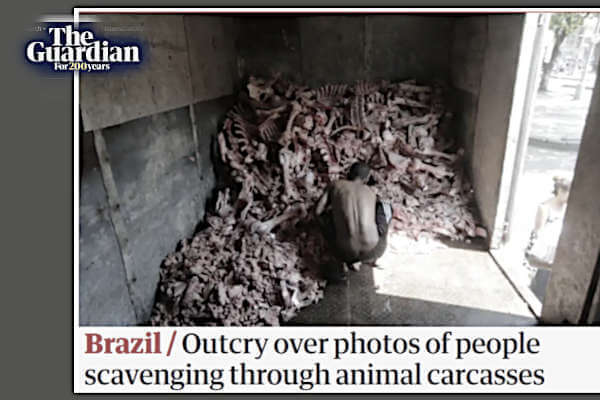 PANDORA PAPERS QUELLI CHE LO OFFSHORE