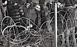 BIELORUSSIA POLONIA MIGRANTI NELL'INVERNO DELLA COSCIENZA