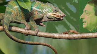 GOVERNO DRAGHI, RETROSCENA DEL COPRIFUOCO COVID