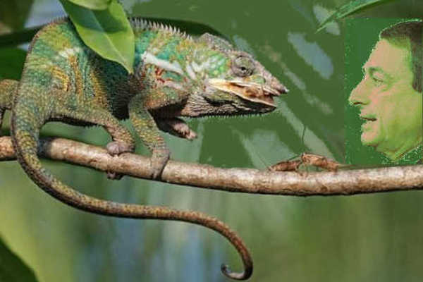 EGREGIO DRAGHI, LA NOSTRA INGANNATURA E' DIVERSA DALLA TUA