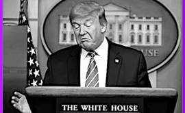 Indice di gradimento degli americani per Trump dopo un mese