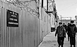 NAVALNY PRIGIONIERO NEL LAGER di Kharp, Circolo Polare Artico