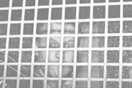 ONU Deve Garantire la Vita e Libertà di Navalny, Subito!