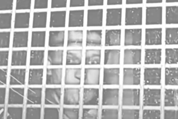 ONU Deve Garantire la Vita e Libertà di Navalny, Subito!