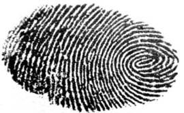 Racconti dall'aldi AI, Buon Compleanno Centosettantaquattro, John!