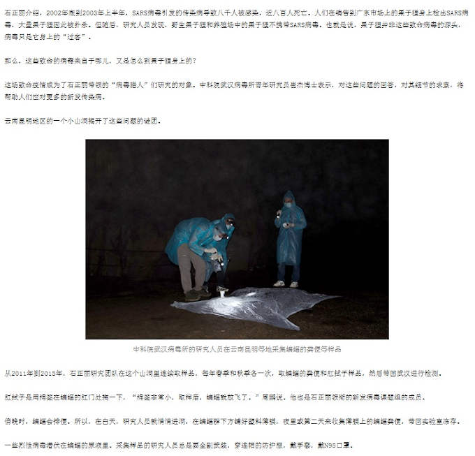 Alle origini del coronavirus SARS-Cov-2 . La foto riportata sul sito del Wuhan Institute of Virology - CAS nell'articolo del 2017 in cui Shi Zhengli parla dello studio sui pipistrelli e della "caccia" ai coronavirus nelle grotte dello Yunnan