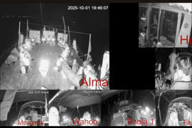 Flotilla attaccata illegalmente da Israele, blocchi in tutta Italia