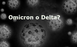 Omicron o Delta, Quale Variante Causa i Morti per COVID-19?