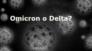 Omicron o Delta, Quale Variante Causa i Morti per COVID-19?