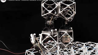 Create Cellule Robot Intelligenti, si Riproducono e Lavorano